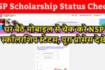 NSP Scholarship Status Check 2025